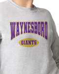 School Spirit Athletic Style Crewneck